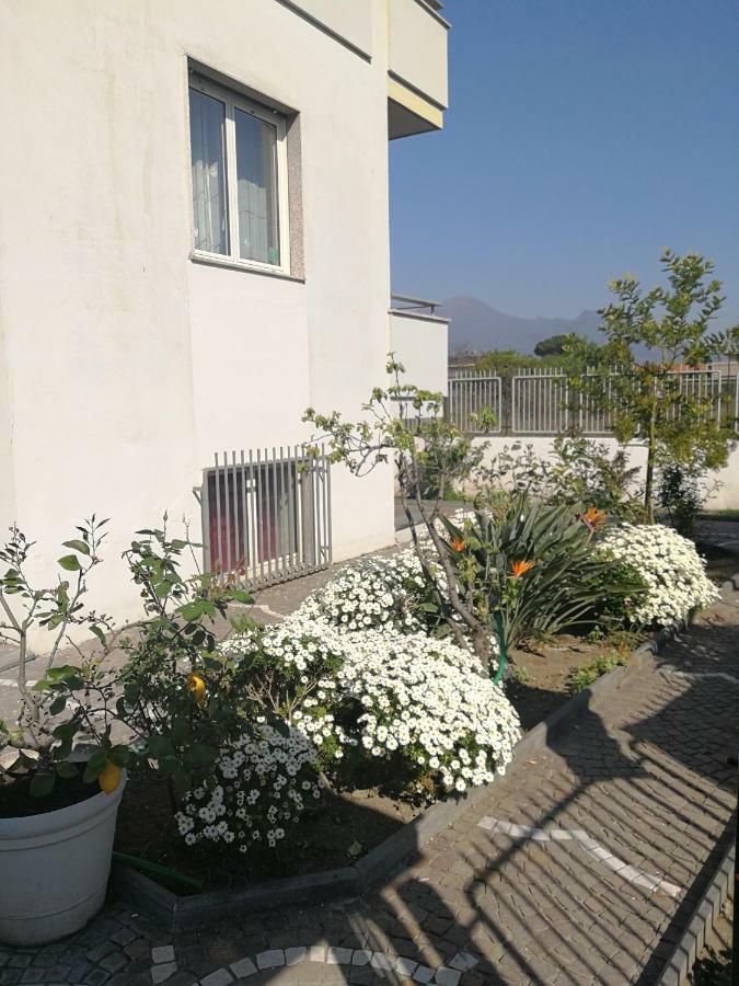 Area Domus Bed and Breakfast Πομπηία Εξωτερικό φωτογραφία