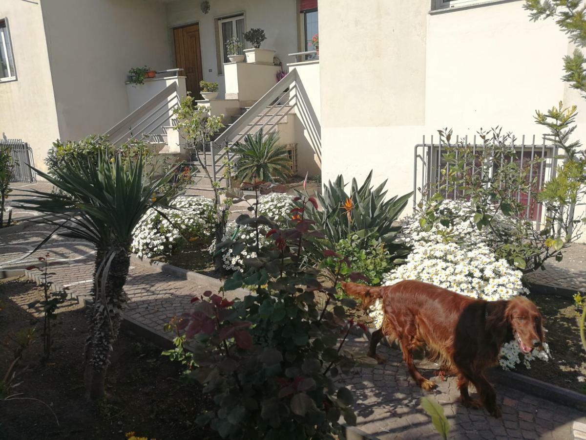 Area Domus Bed and Breakfast Πομπηία Εξωτερικό φωτογραφία